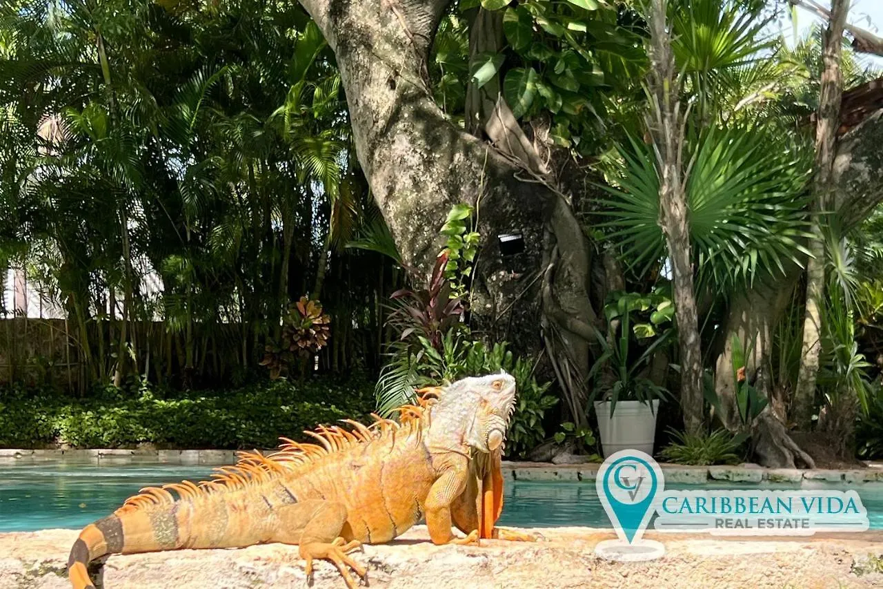Stunning And Stylish 2 Bedroom Unit At Mar H2O! Playa del Carmen 0*,  Mexiko